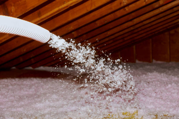 Best Blown-in Insulation in Oelwein, IA