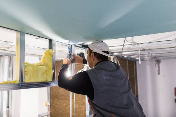 Best Geographic-Specific Insulation Services in Oelwein, IA