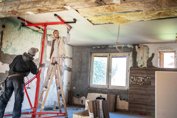 Best Cellulose Insulation in Oelwein, IA