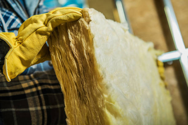 Best Specialized Insulation Services in Oelwein, IA